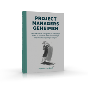 E-book Projectmanagers Geheimen